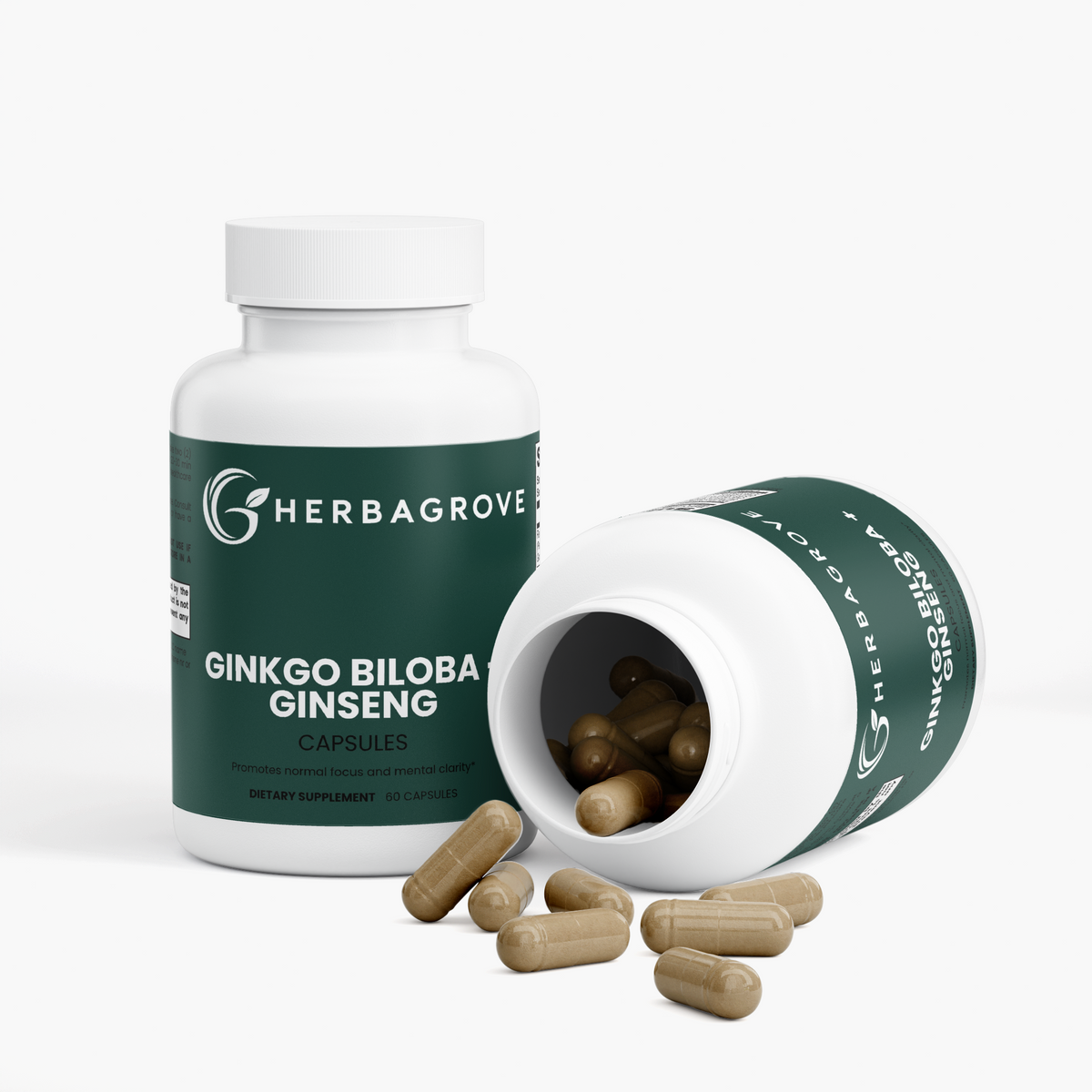 Ginkgo Biloba + Ginseng