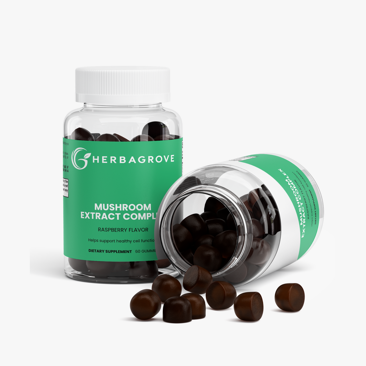 Mushroom Extract Complex