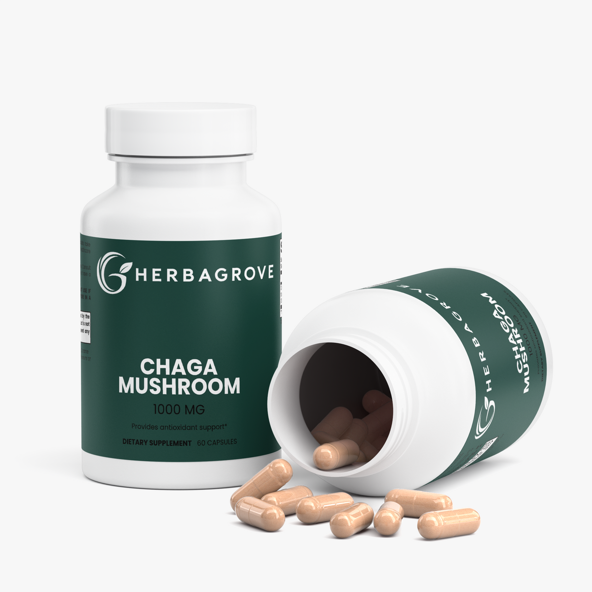 Chaga Mushroom