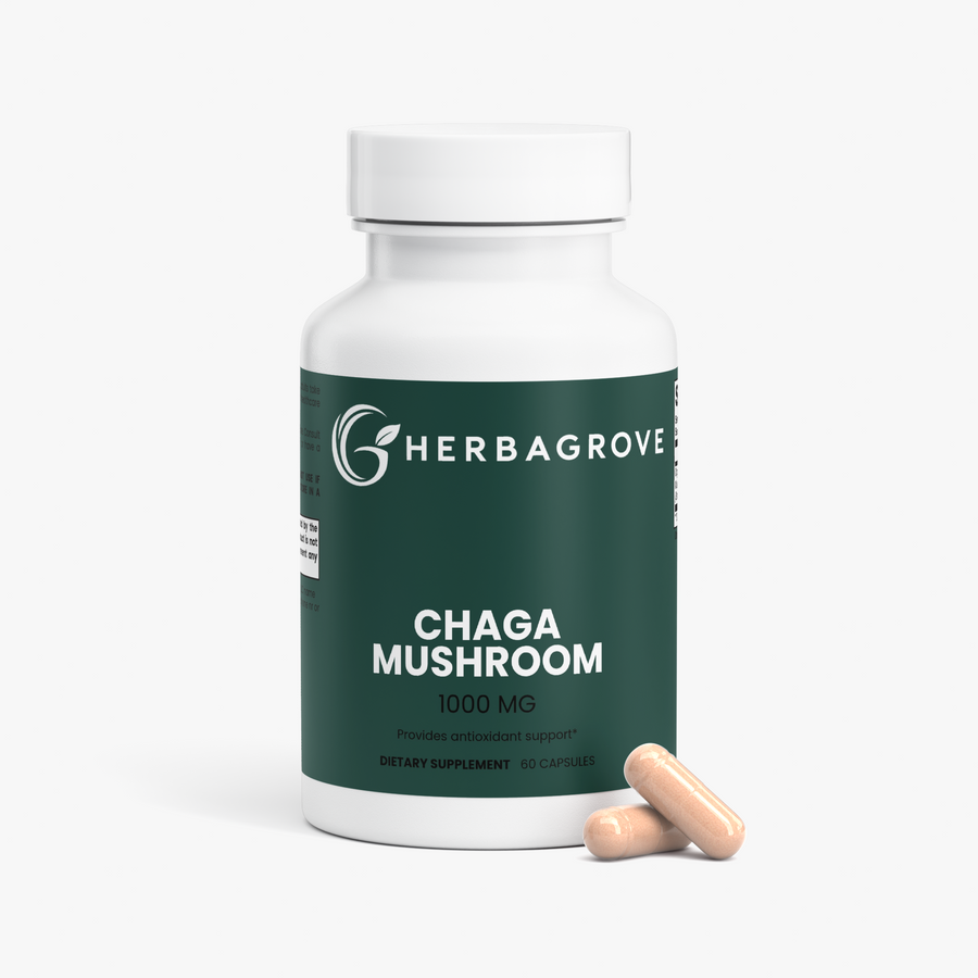 Chaga Mushroom