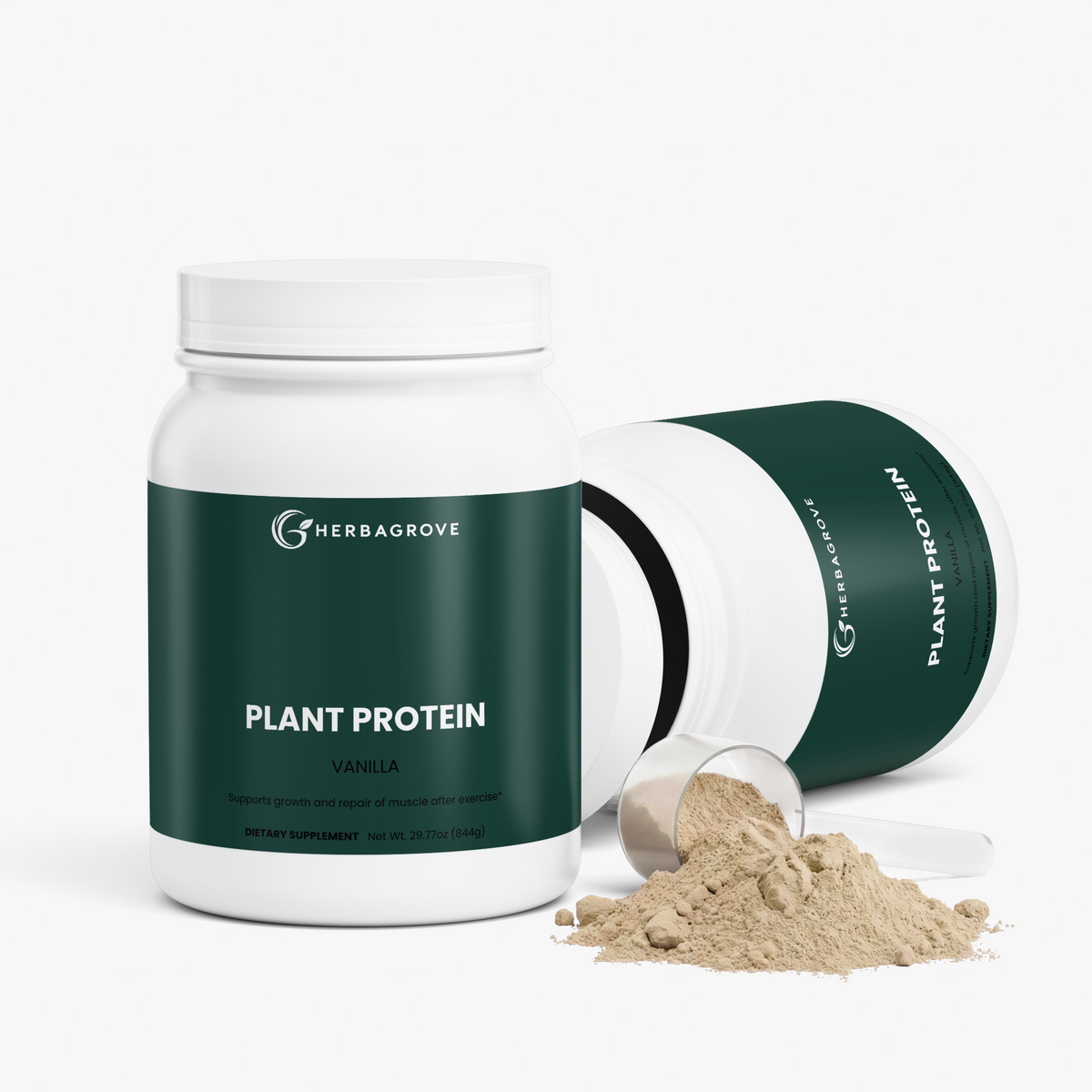 Plant Protein (Vanilla)