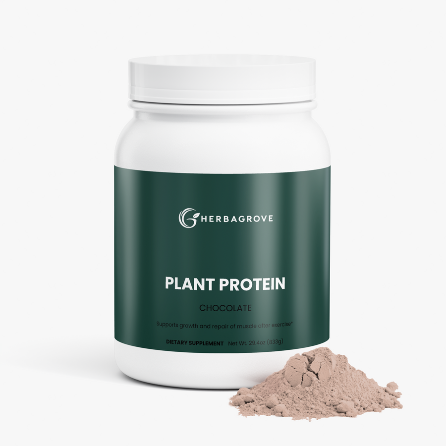 Plant Protein (Chocolate)